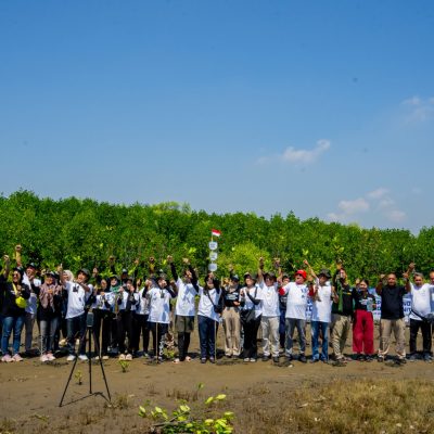 TERA BATCH 4 (6)